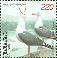 Fauna, Sea-gulls, 1v; 220 D