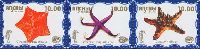 Sea fauna, 2nd issue, Starfishes, blue background, 3v in strip; 10.0 R х 3