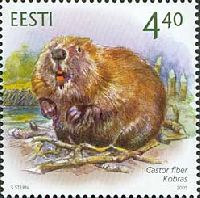 Fauna, Beaver, 1v; 4.40 Kr