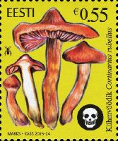 Флора, Ядовитые грибы, 1м; 0.55 Евро