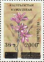 Надпечатка лилового цвета нового номинала на № 019 (Цветы, 1т), Типографская проба, тип 1, 1м; 36т