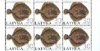 Fauna, Fishes, three sides perforation, M/S of 6v; 30s x 6