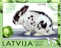 Home Animals, Rabbit, 1v; 35 S