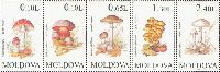 Flora, Mushrooms, 5v; 0.10, 0.10, 0.65, 1.30, 2.40 L