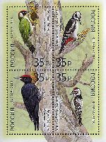 Fauna, Woodpeckers, Block of 4v; 35.0 R х 4