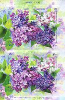 Flora of Russia, Lilac, selfadhesives, М/S of 2 sets
