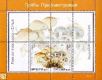 Flora, Poisonous Mushrooms, Block of 2v; "Р" x 4